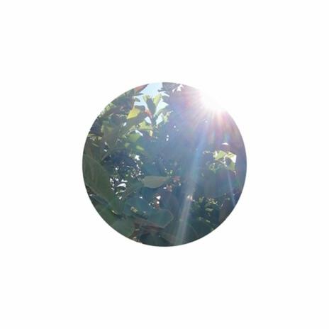 Sin Título cover art