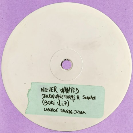 never wanted (Boki V.I.P) ft. Janahee cover art