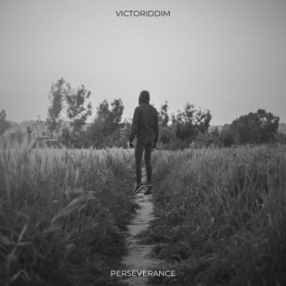 Perseverance cover art
