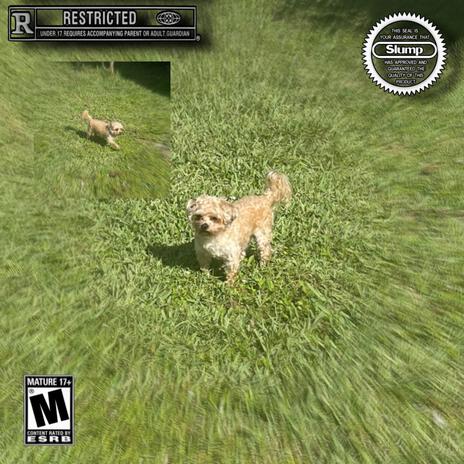 Self Snitching 2 cover art