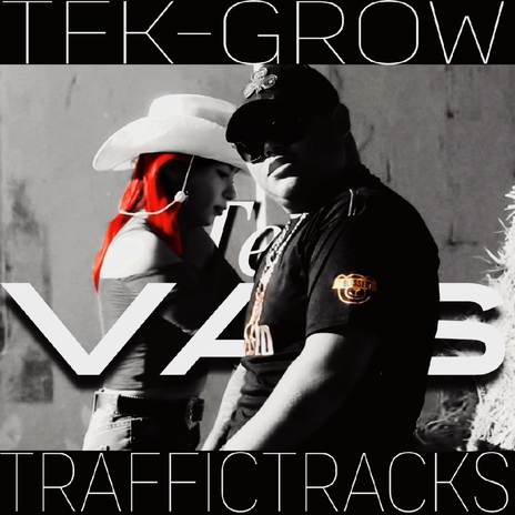 Te Vas cover art