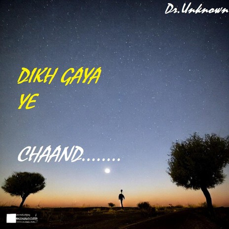 DIKH GAYA YE CHAAND cover art