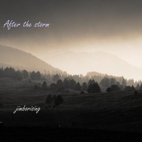 After the storm cover art