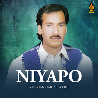 Zeeshan Haidar Selro