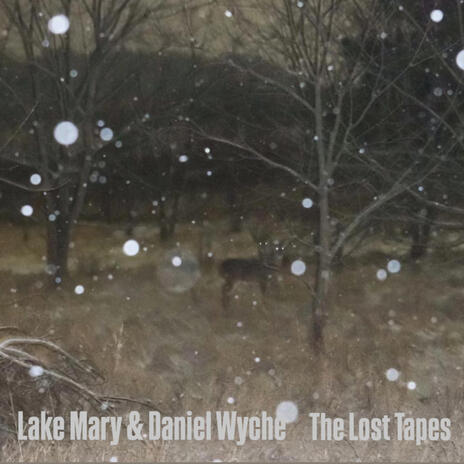 The Lost Tapes ft. Daniel Wyche cover art