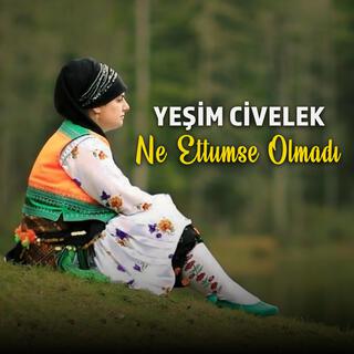 Ne Ettumse Olmadı cover art