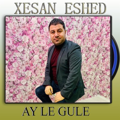 Ay Le Gule cover art