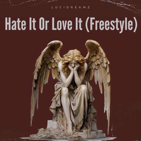 Hate Or Love It cover art
