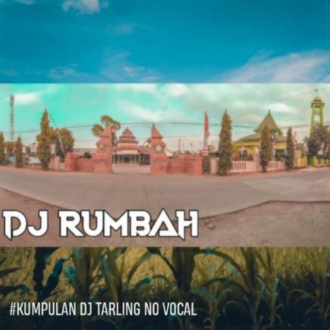 DJ Lanang Pujaan - Titin Maryati - No Vocal cover art