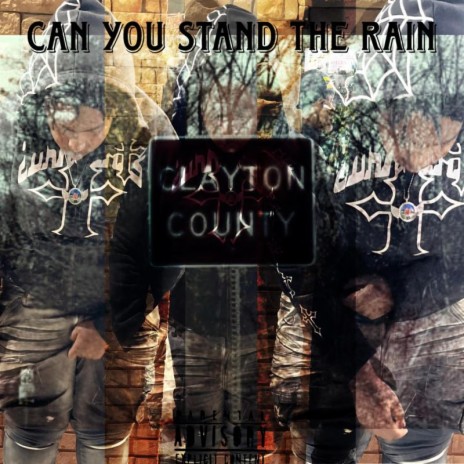 Can You Stand The Rain cover art