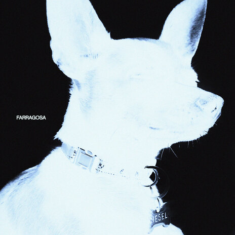 No Vuelvas a Desaparecer cover art