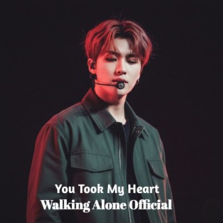 You Took My Heart