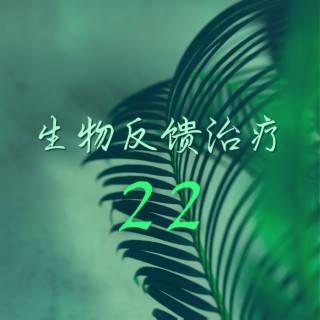 生物反馈治疗 22 - 超级治愈音乐,缓解压力,休闲时间的轻音乐