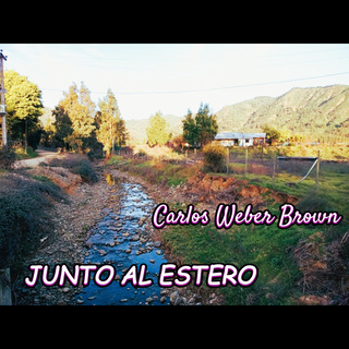 CARLOS WEBER BROWN