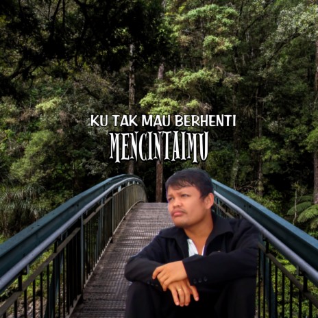 Tak Mau Berhenti Mencintaimu cover art