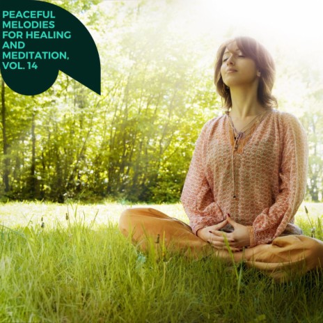 Relaxation Dignified cover art