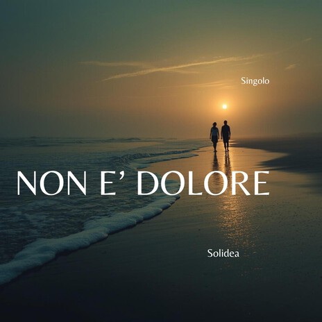 Non è dolore cover art