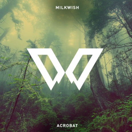 Acrobat cover art