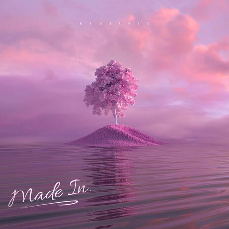 Made in cover art