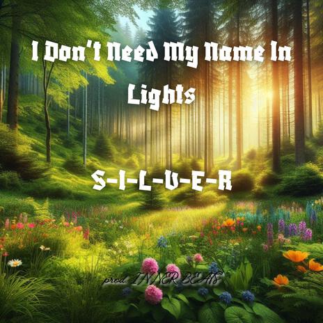 I Don't Need My Name in Lights cover art