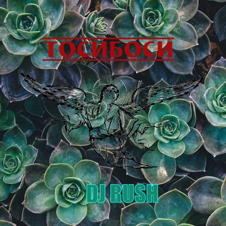 Си cover art