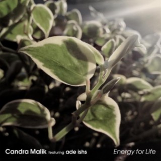 Candra Malik