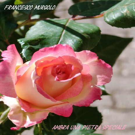 Ambra una pietra speciale cover art