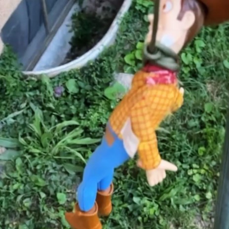 Whoopty Doo cover art