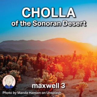 Cholla of the Sonoran Desert cover art