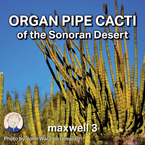 Organ Pipe Cacti of the Sonoran Desert cover art