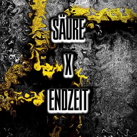 ENDZEIT cover art