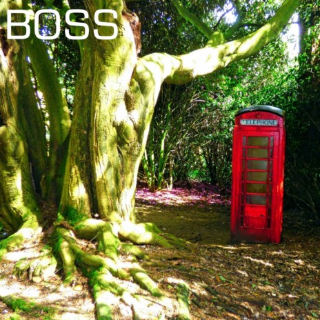 Boss (feat. Grev Williams) cover art