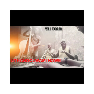 VZI TEAM