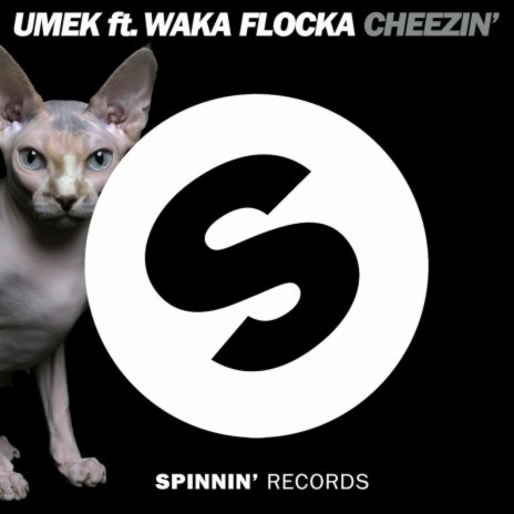 Cheezin' (feat. Waka Flocka Flame) cover art