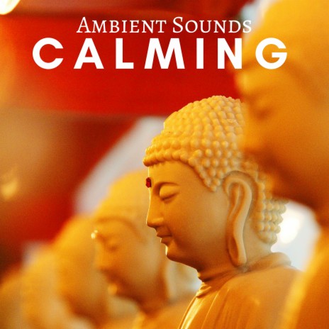 Mindfulness cover art