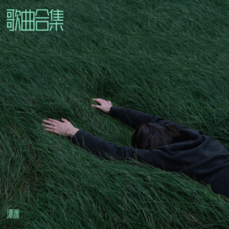 城南城北 (cover: DJ飞碟) cover art