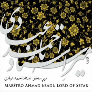 Ahmad Ebadi
