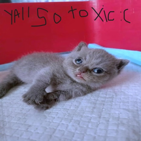 yall so toxic :( cover art