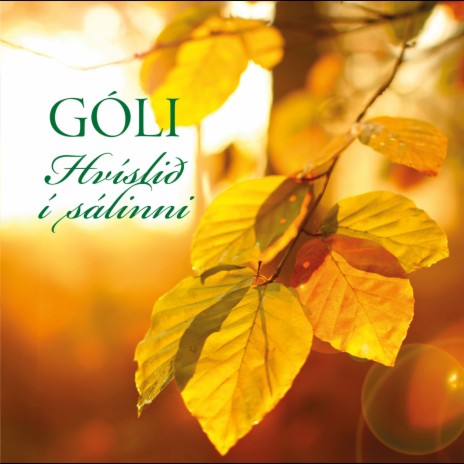 Í leyni cover art