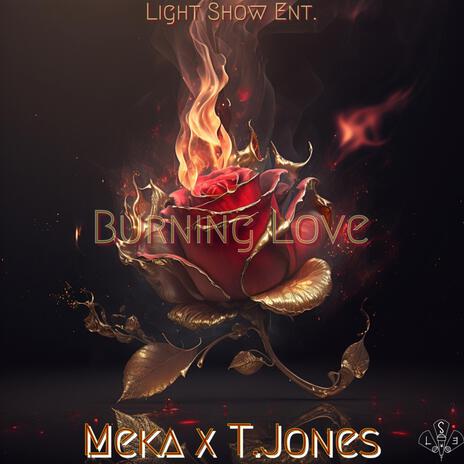 Fight the Feeling ft. T.Jones & Meka cover art
