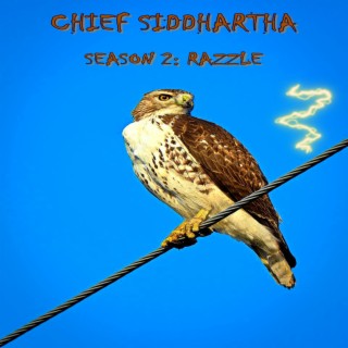 SEASON 2: RAZZLE
