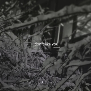 I don't like you cover art