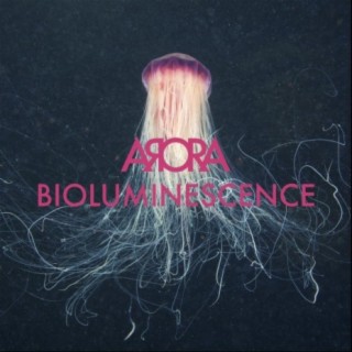 Arora
