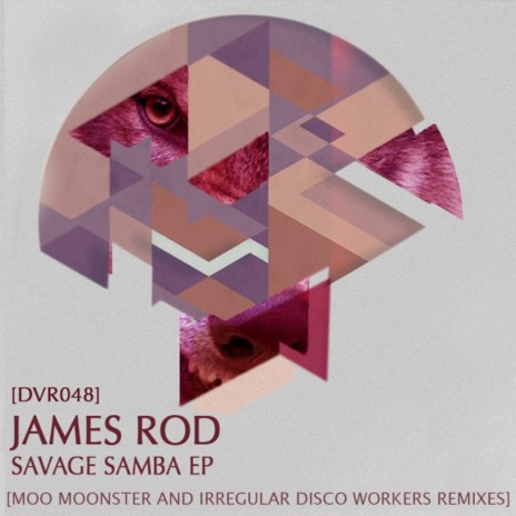 Disco Samba Du Thanga (Irregular Disco Workers Remix) cover art