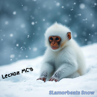 Slamorbeats Snow