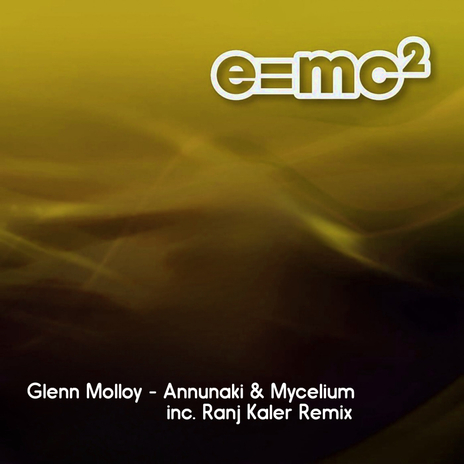 Mycelium cover art
