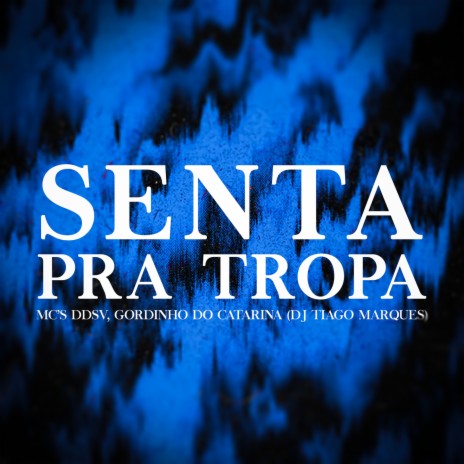 Senta Pra Tropa cover art