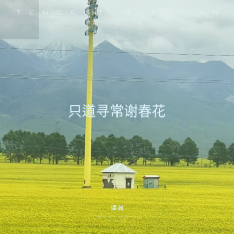 月亮照山川 cover art