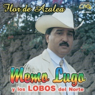 Tengo Ganas De Llorar cover art