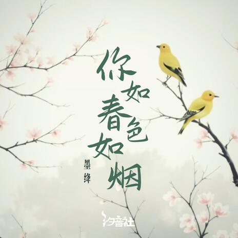 你如春色如烟 ft. 汐音社 cover art